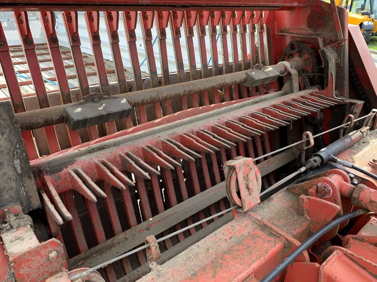 Ladewagen a típus Mengele LW 330, Gebrauchtmaschine ekkor: Villach (Kép 10)