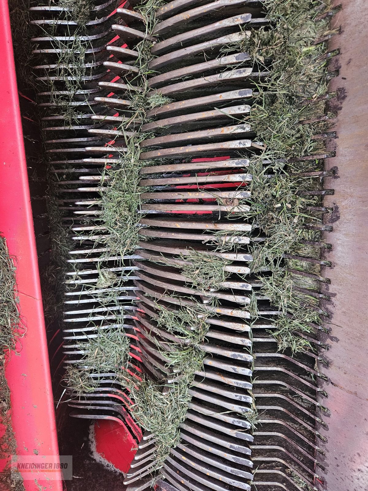 Ladewagen des Typs Pöttinger Europrofi 5000, Gebrauchtmaschine in Altenfelden (Bild 11)