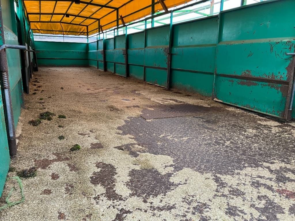 Ladewagen типа Sonstige AS Vognen 12 meter grisevogn, Gebrauchtmaschine в Hinnerup (Фотография 2)