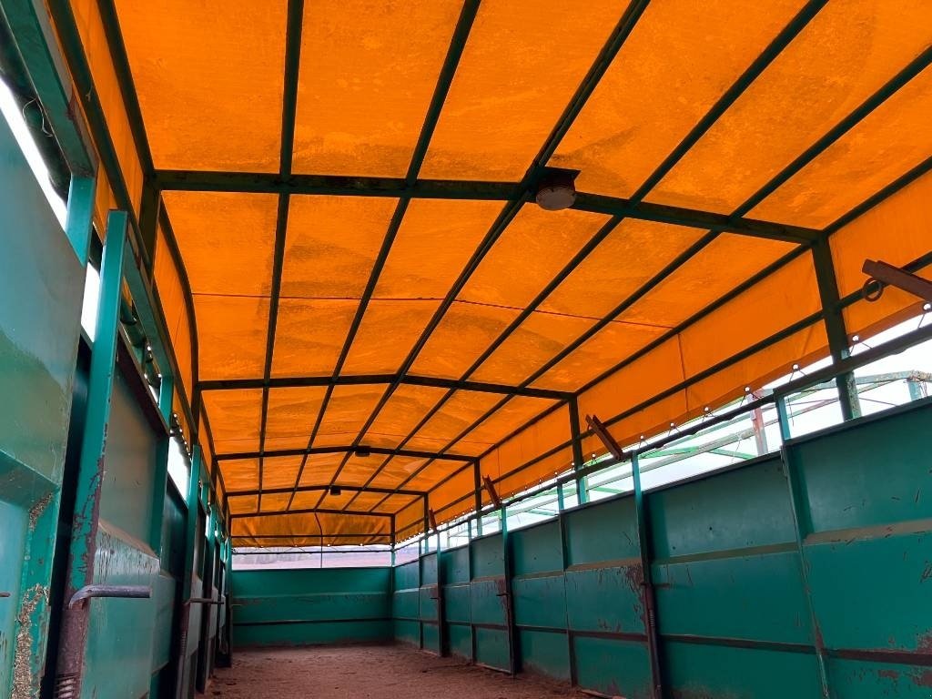 Ladewagen типа Sonstige AS Vognen 12 meter grisevogn, Gebrauchtmaschine в Hinnerup (Фотография 3)