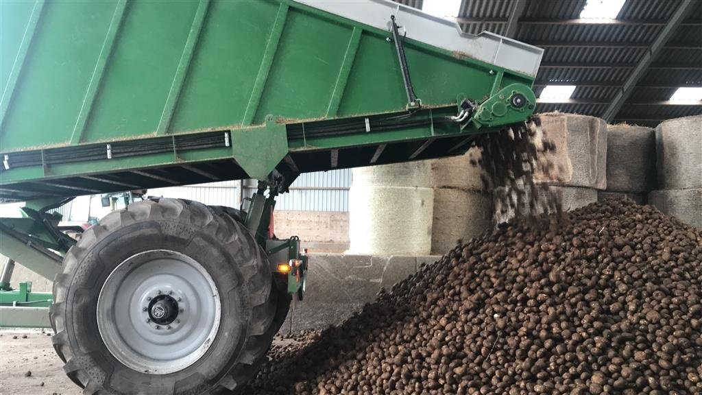Ladewagen of the type Sonstige Greenloader overlæssevogne til majs og græs m.m., Gebrauchtmaschine in Løgumkloster (Picture 17)