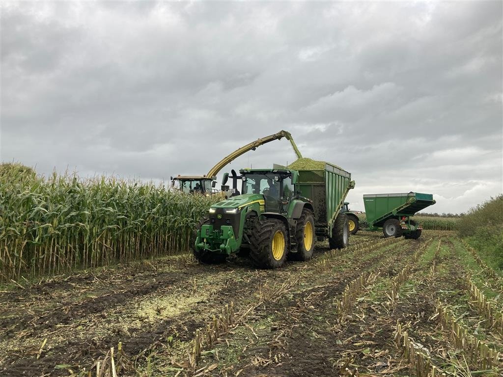 Ladewagen of the type Sonstige Greenloader overlæssevogne til majs og græs m.m., Gebrauchtmaschine in Løgumkloster (Picture 16)