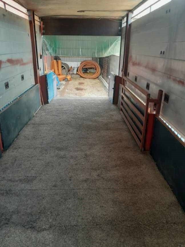 Ladewagen tip Sonstige Grise transportvogn Lastbil hænger, Gebrauchtmaschine in Ringe (Poză 5)