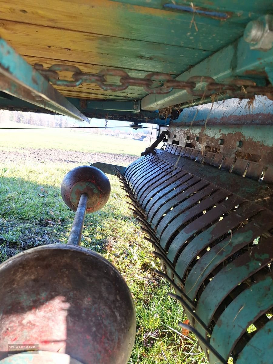 Ladewagen typu Steyr Hamster 803 V, Gebrauchtmaschine v Gampern (Obrázek 6)
