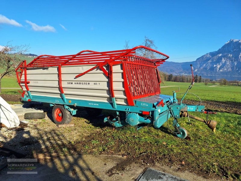 Ladewagen of the type Steyr Hamster 803 V, Gebrauchtmaschine in Gampern (Picture 1)