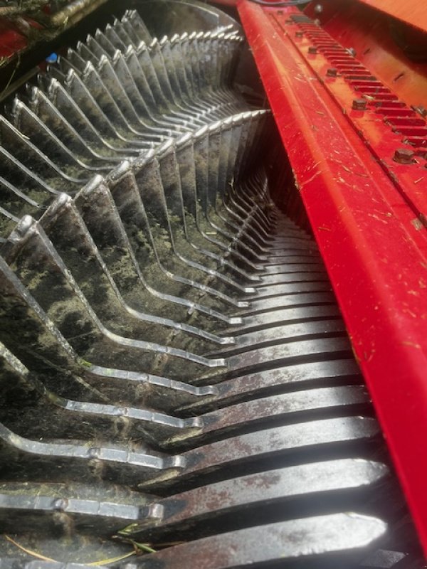 Ladewagen des Typs Strautmann Giga Vietesse 4002 ***Vorführwagen***, Gebrauchtmaschine in Offenhausen (Bild 3)