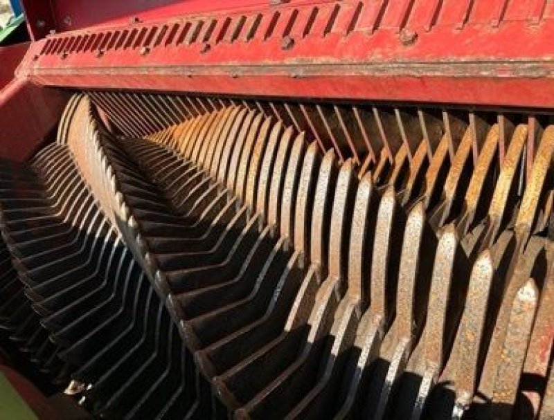 Ladewagen of the type Strautmann Giga vitesse 3 DO Plus, Gebrauchtmaschine in Vroomshoop (Picture 11)