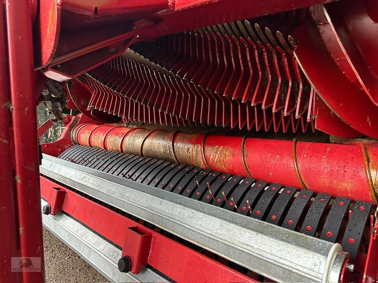 Ladewagen des Typs Strautmann Giga-Vitesse CFS 4002, Neumaschine in Münchberg (Bild 6)