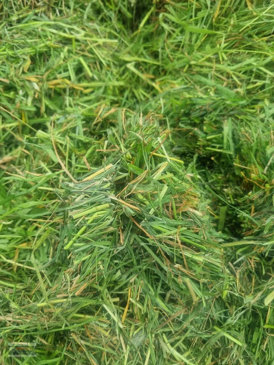 Ladewagen typu Strautmann Magnon 11-530, Gebrauchtmaschine v Lichtenfels (Obrázek 6)