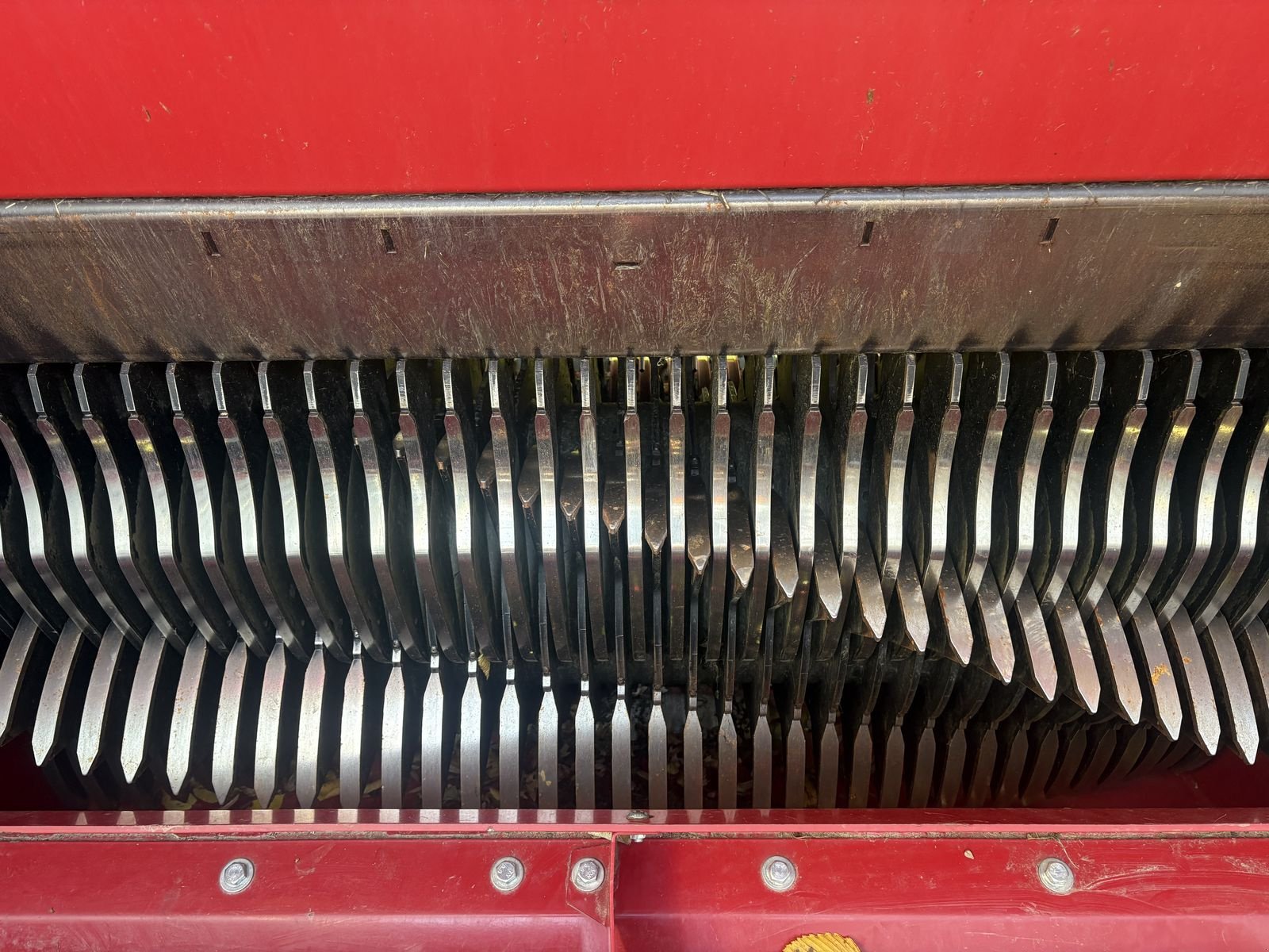 Ladewagen of the type Strautmann ZELON CFS 290 DO, Vorführmaschine in Pischelsdorf am Engelbach (Picture 8)