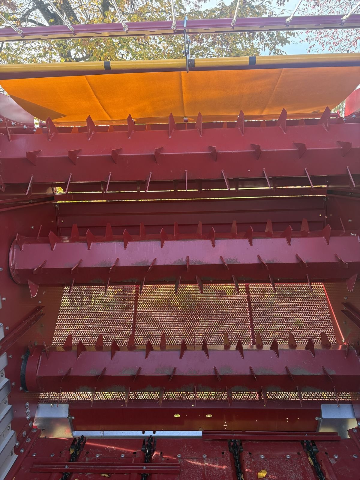 Ladewagen of the type Strautmann ZELON CFS 290 DO, Vorführmaschine in Pischelsdorf am Engelbach (Picture 9)