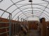 Lagerhalle van het type Sonstige Pferde Unterstand Lagerhalle Landwirtschaft 12x9,15x4,5 Statik, Gebrauchtmaschine in Rodeberg OT Eigenrieden (Foto 6)