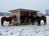 Lagerhalle del tipo Sonstige Weidehütte Unterstand mobil Tierunterstand Weideunterstand Pferde, Gebrauchtmaschine In Rodeberg OT Eigenrieden (Immagine 5)