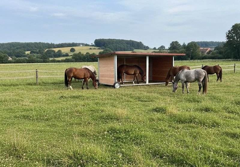 Lagerhalle del tipo Sonstige Weidehütte Unterstand mobil Tierunterstand Weideunterstand Pferde, Gebrauchtmaschine In Rodeberg OT Eigenrieden (Immagine 1)