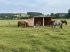 Lagerhalle del tipo Sonstige Weidehütte Unterstand mobil Tierunterstand Weideunterstand Pferde, Gebrauchtmaschine In Rodeberg OT Eigenrieden (Immagine 1)