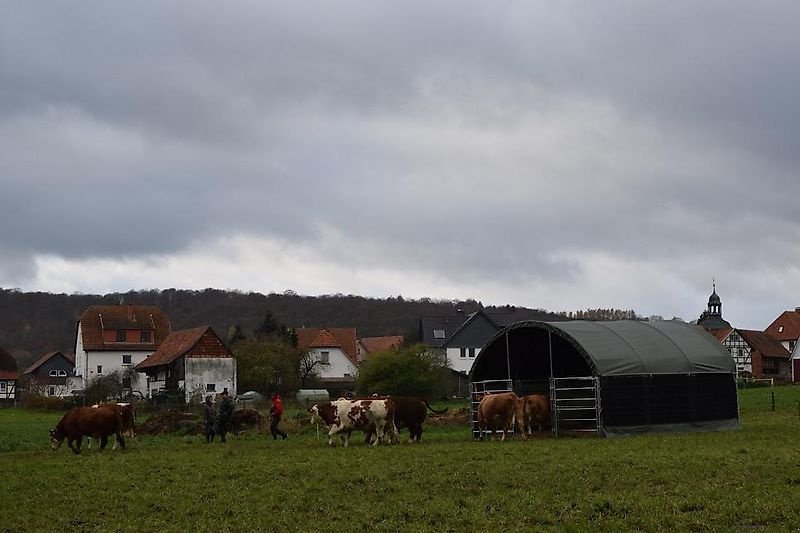 Lagerhalle del tipo Sonstige Weidezelt Unterstand 6x6m Pferde Schafe Kühe Weidehütte, Gebrauchtmaschine en Rodeberg OT Eigenrieden (Imagen 4)
