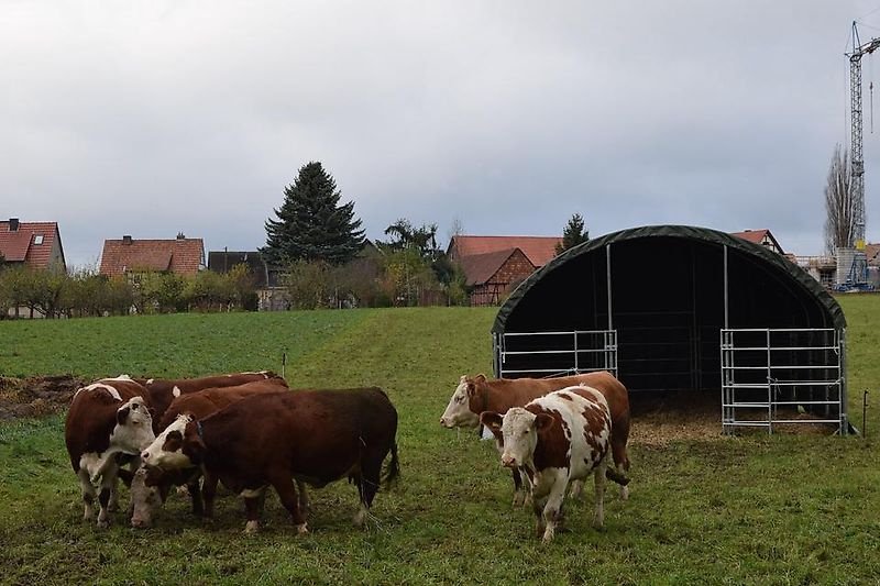 Lagerhalle del tipo Sonstige Weidezelt Unterstand 6x6m Pferde Schafe Kühe Weidehütte, Gebrauchtmaschine en Rodeberg OT Eigenrieden (Imagen 5)