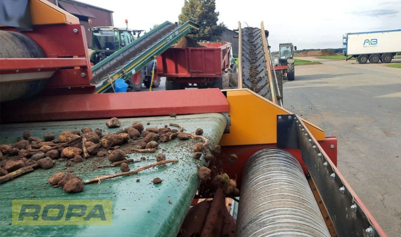 Lagertechnik des Typs Bijlsma Hercules Kluten- und Steintrenner KS 150 DUO, Neumaschine in Viersen (Bild 3)