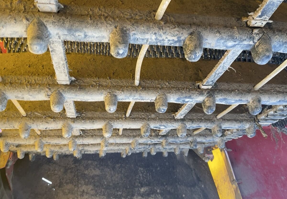 Lagertechnik of the type Grimme 85-55, Gebrauchtmaschine in Zwettl (Picture 16)