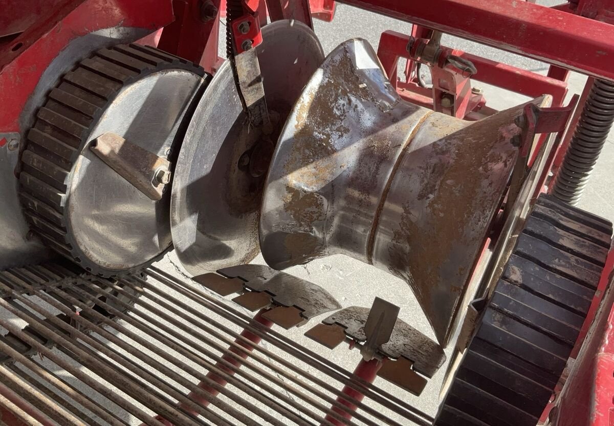 Lagertechnik of the type Grimme 85-55, Gebrauchtmaschine in Zwettl (Picture 14)