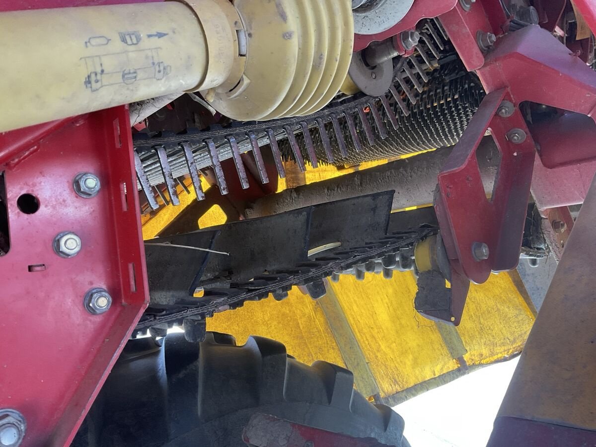 Lagertechnik of the type Grimme 85-55, Gebrauchtmaschine in Zwettl (Picture 9)