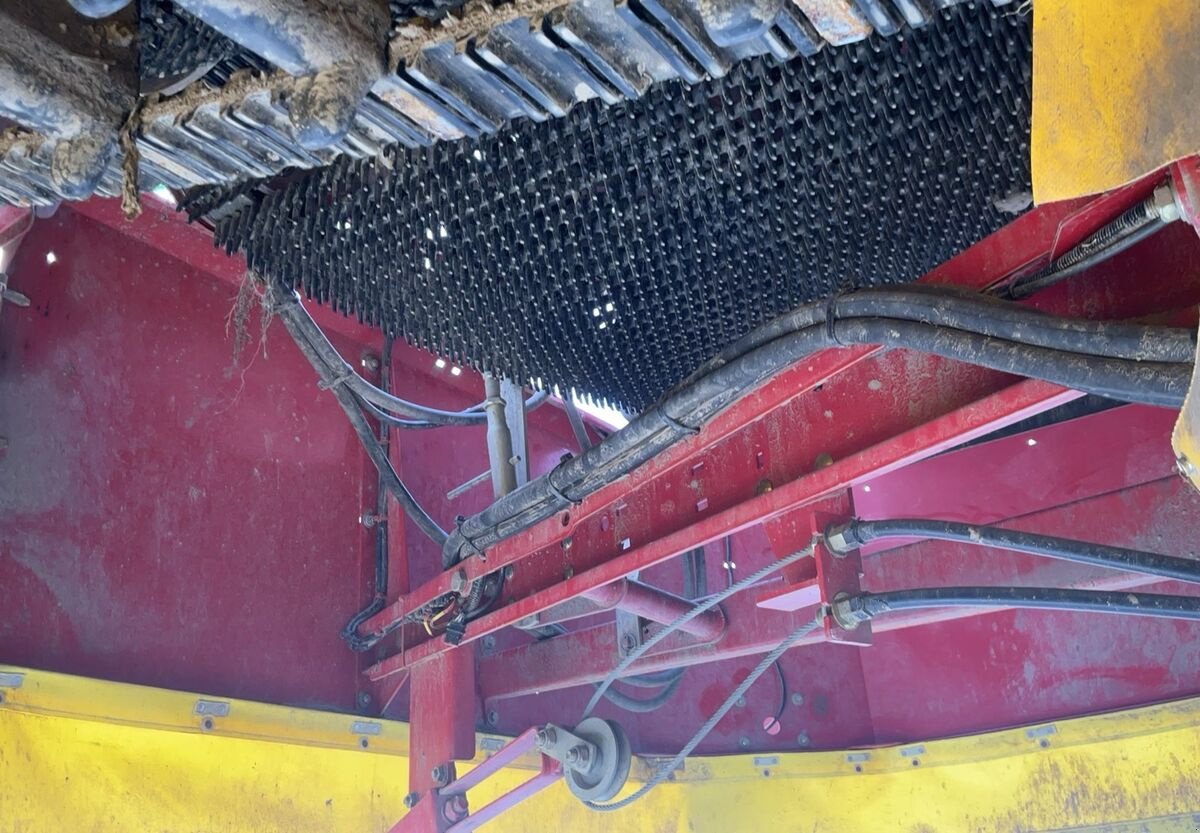 Lagertechnik of the type Grimme 85-55, Gebrauchtmaschine in Zwettl (Picture 17)