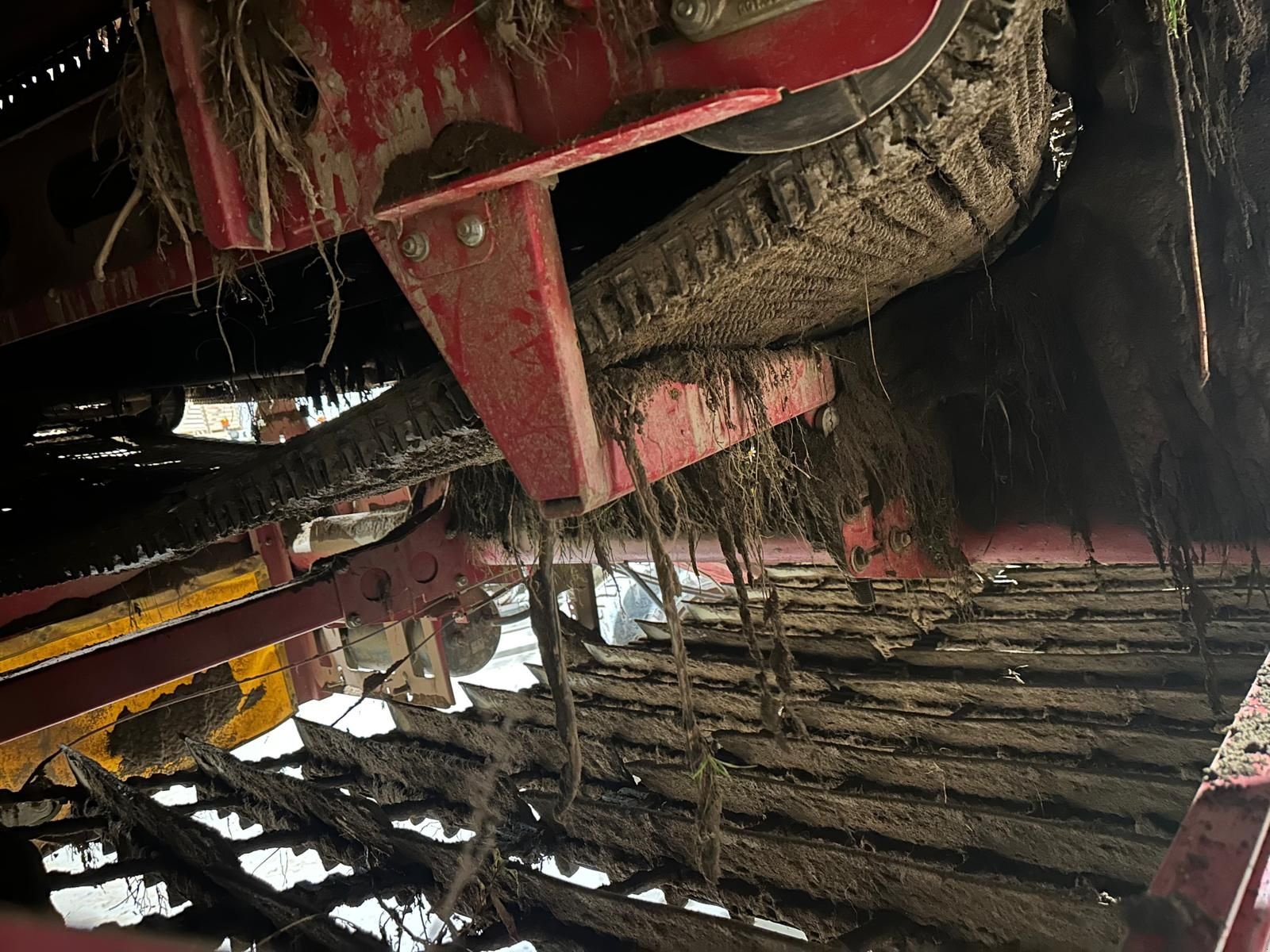 Lagertechnik van het type Grimme SE 150 - 60 UB, Gebrauchtmaschine in Harmannsdorf-Rückersdorf (Foto 10)