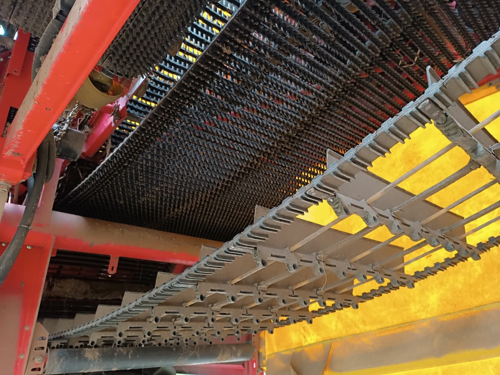 Lagertechnik от тип Grimme SE  75-40, Gebrauchtmaschine в Harmannsdorf-Rückersdorf (Снимка 10)