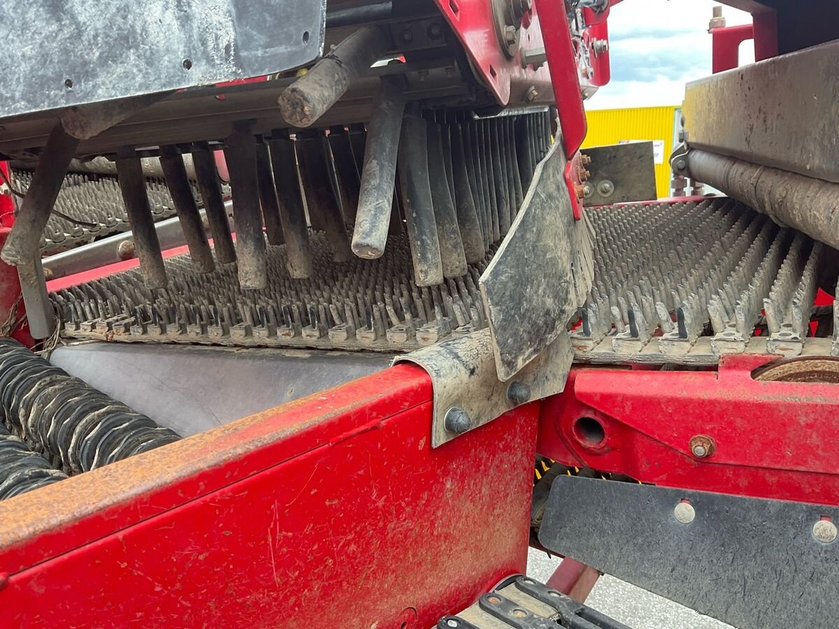 Lagertechnik of the type Grimme SE 85-55, Gebrauchtmaschine in Zwettl (Picture 12)