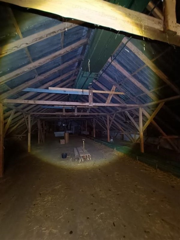 Lagertechnik of the type Sonstige ca 20-30 meter Halmbane, Gebrauchtmaschine in Egtved (Picture 2)