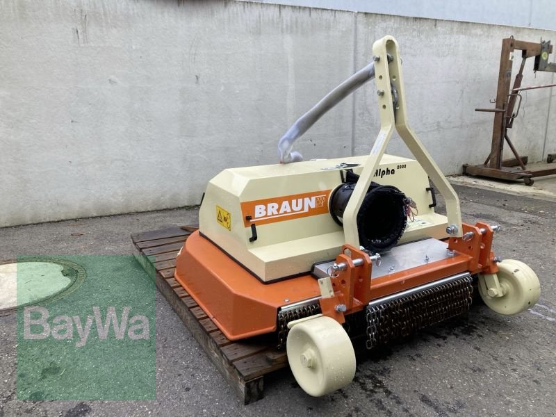 Laubschneider Türe ait Sonstige Alpha 2000 1,40-190m, Gebrauchtmaschine içinde Brackenheim (resim 8)