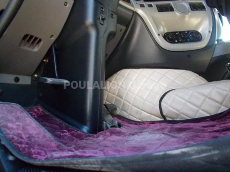 LKW des Typs DAF XF105, Gebrauchtmaschine in Bourron Marlotte (Bild 10)