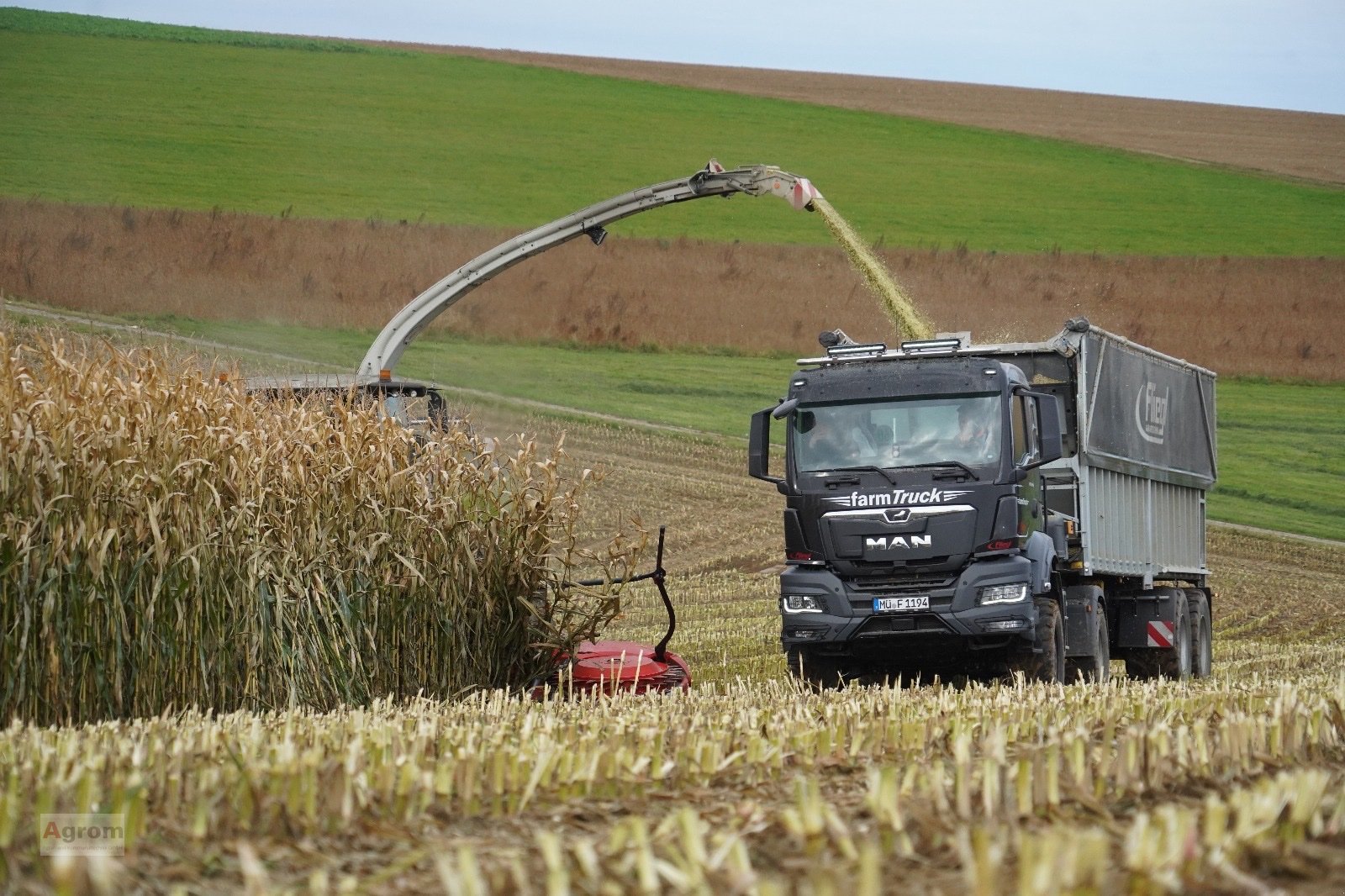 LKW des Typs Fliegl farmTruck, Gebrauchtmaschine in Riedhausen (Bild 3)
