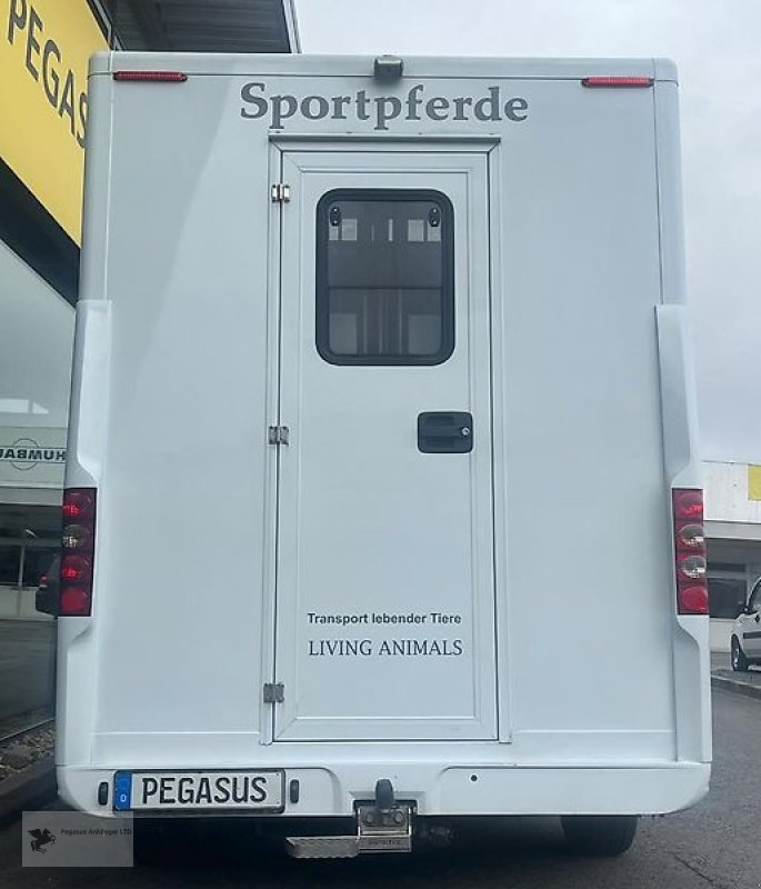 LKW des Typs Renault Master 2 Pferdetransporter 4-Sitzer 1.Hd Top Sleeper 2023, Gebrauchtmaschine in Gevelsberg (Bild 5)