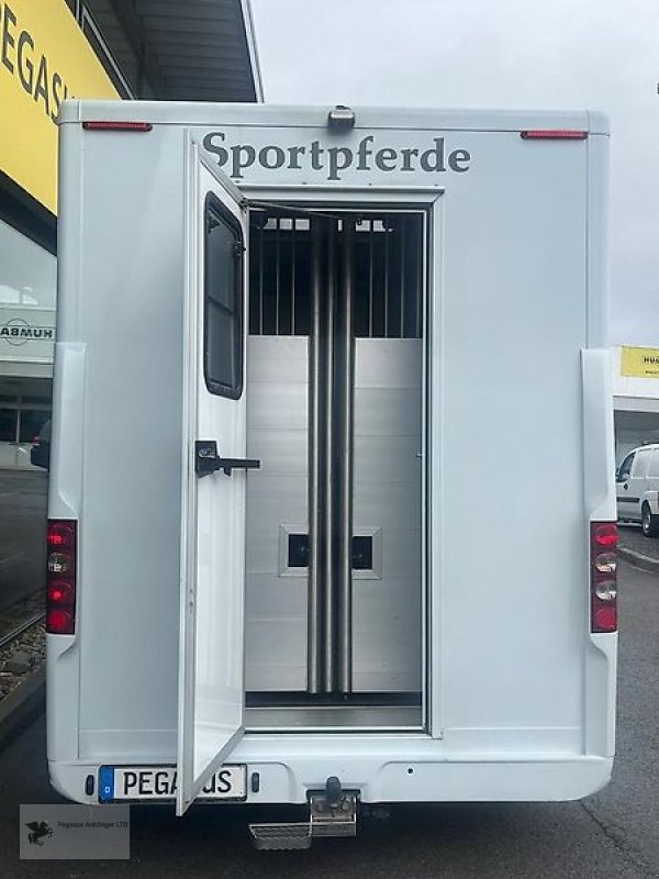 LKW des Typs Renault Master 2 Pferdetransporter 4-Sitzer 1.Hd Top Sleeper 2023, Gebrauchtmaschine in Gevelsberg (Bild 7)