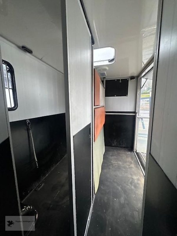 LKW del tipo Renault Master JL Mini 2 Pferdetransporter Vollalukoffer 3,5t., Gebrauchtmaschine en Gevelsberg (Imagen 8)