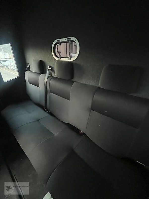 LKW a típus Renault Master Theault Proteo 5L 2 Pferdetransporter 5 Sitzer, Gebrauchtmaschine ekkor: Gevelsberg (Kép 11)