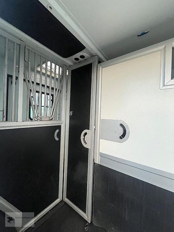 LKW a típus Renault Master Theault Proteo 5L 2 Pferdetransporter 5 Sitzer, Gebrauchtmaschine ekkor: Gevelsberg (Kép 8)