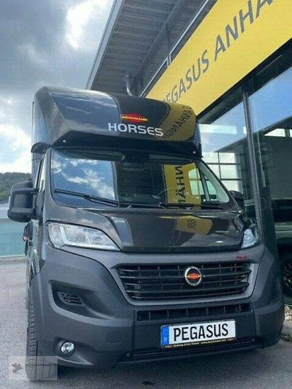 LKW типа Sonstige Vermietung 2- Pferdetransporter / Pferdehänger......., Gebrauchtmaschine в Gevelsberg (Фотография 2)