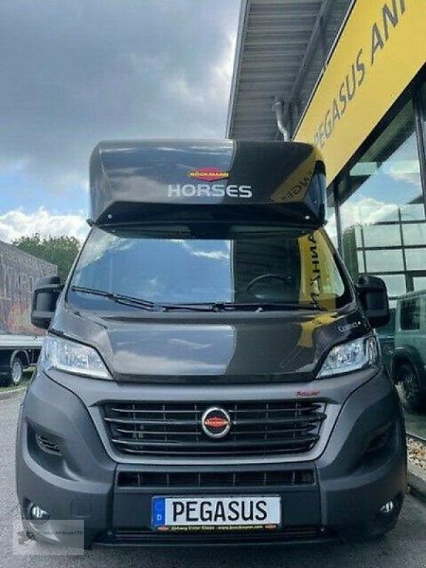 LKW типа Sonstige Vermietung 2- Pferdetransporter / Pferdehänger......., Gebrauchtmaschine в Gevelsberg (Фотография 3)