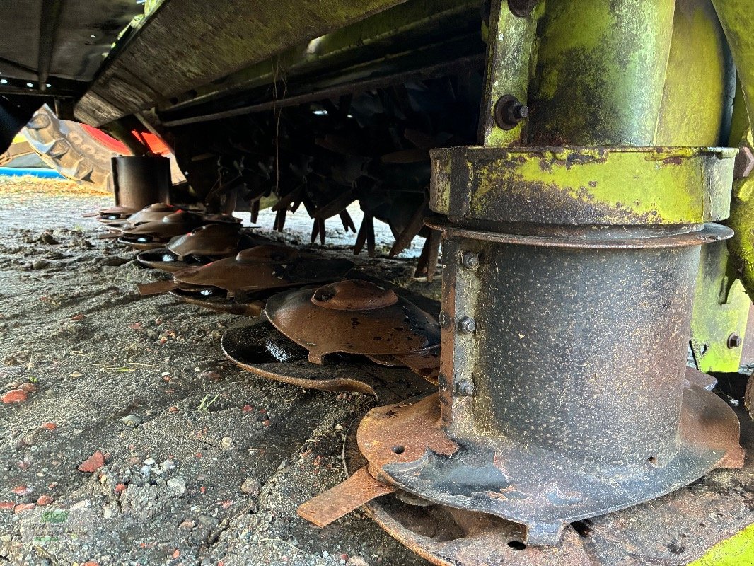 Mähaufbereiter & Zetter a típus CLAAS Disco 3100 FC Profil, Gebrauchtmaschine ekkor: Rhede / Brual (Kép 4)