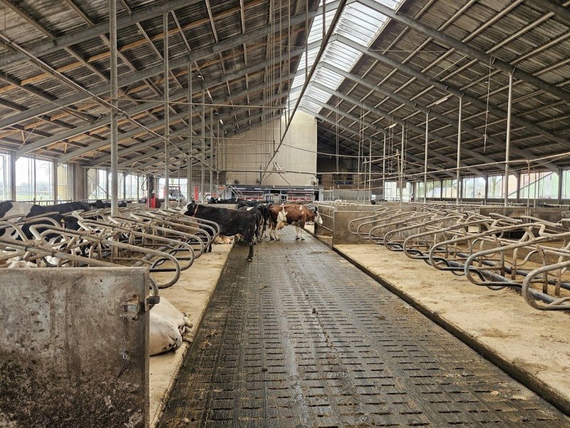 Mähaufbereiter & Zetter des Typs Sonstige Spinder Stalinrichting, Gebrauchtmaschine in Garnwerd (Bild 1)