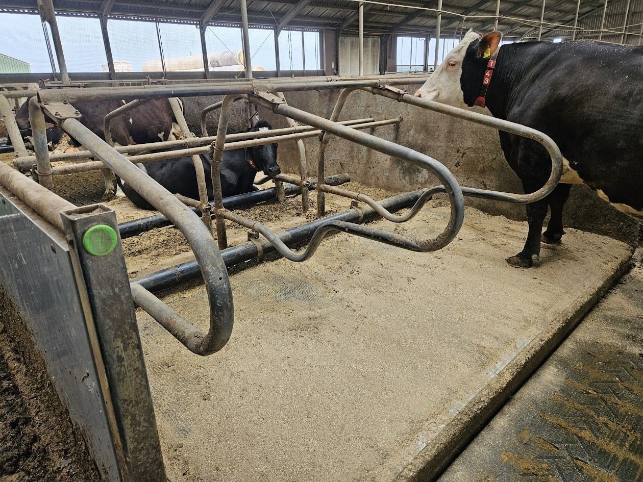 Mähaufbereiter & Zetter del tipo Sonstige Spinder Stalinrichting, Gebrauchtmaschine en Garnwerd (Imagen 3)