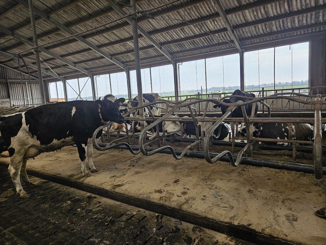 Mähaufbereiter & Zetter del tipo Sonstige Spinder Stalinrichting, Gebrauchtmaschine en Garnwerd (Imagen 4)