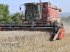 Mähdrescher tip Case IH 2388 X-CLUSIVE, Gebrauchtmaschine in Boxberg-Seehof (Poză 1)