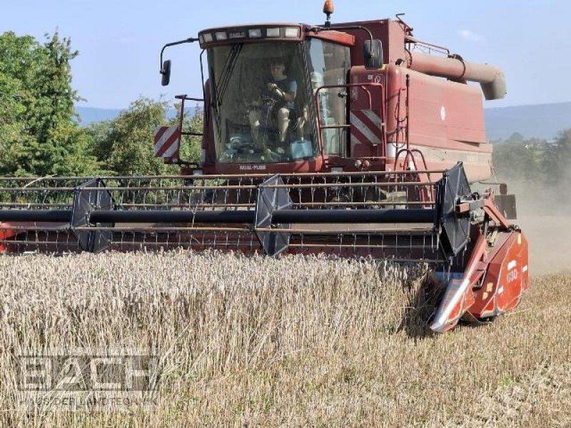 Mähdrescher del tipo Case IH 2388 X-CLUSIVE, Gebrauchtmaschine In Boxberg-Seehof (Immagine 1)