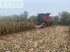 Mähdrescher des Typs Case IH 7250 mit flexschneidwerk soja 9m 4 wd (allrad)3,49m aussenbreite, Gebrauchtmaschine in LICHTENWÖRT (Bild 2)