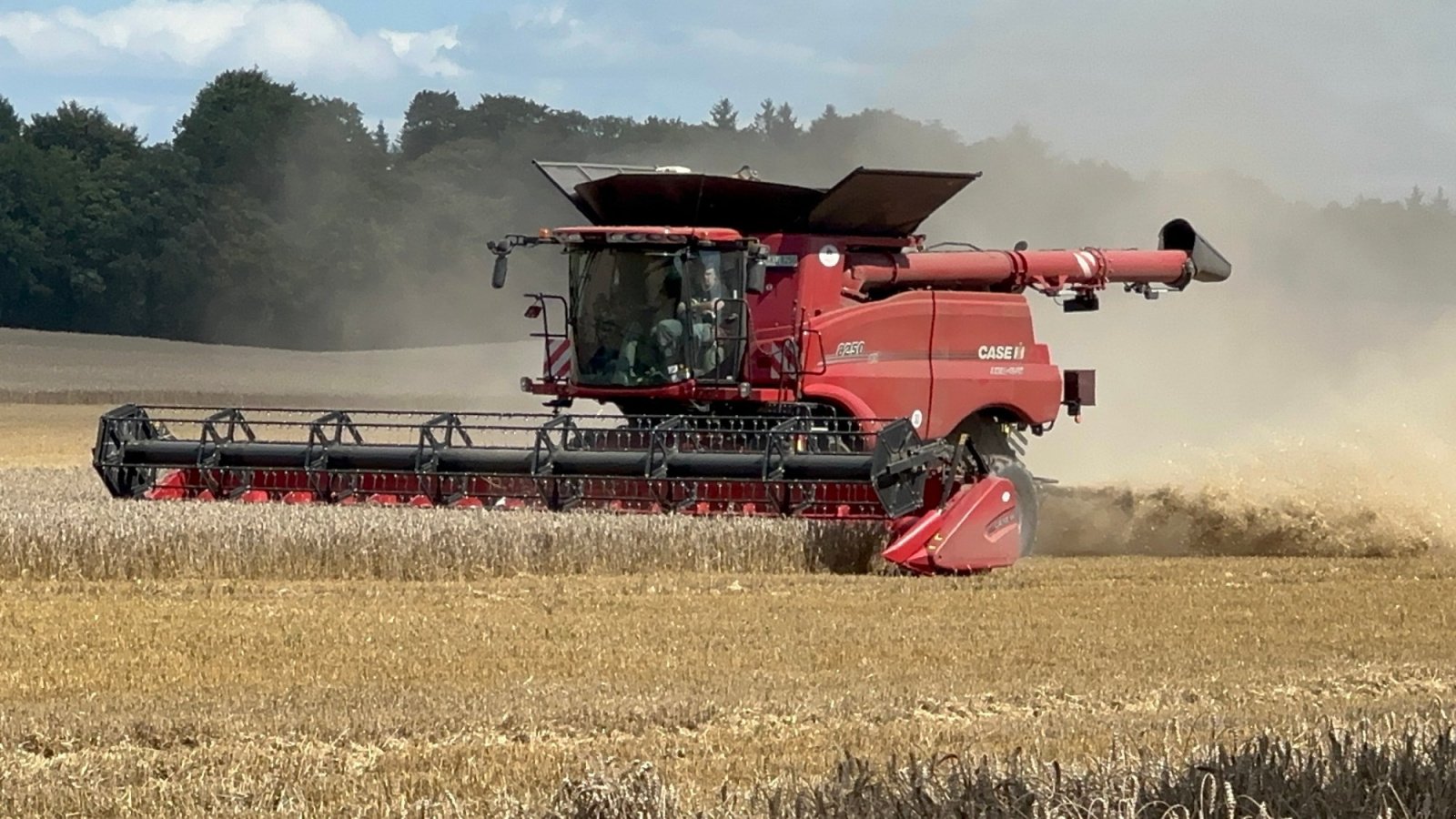 Mähdrescher Türe ait Case IH 8250 AXIAL-FLOW, Gebrauchtmaschine içinde Klempau (resim 1)
