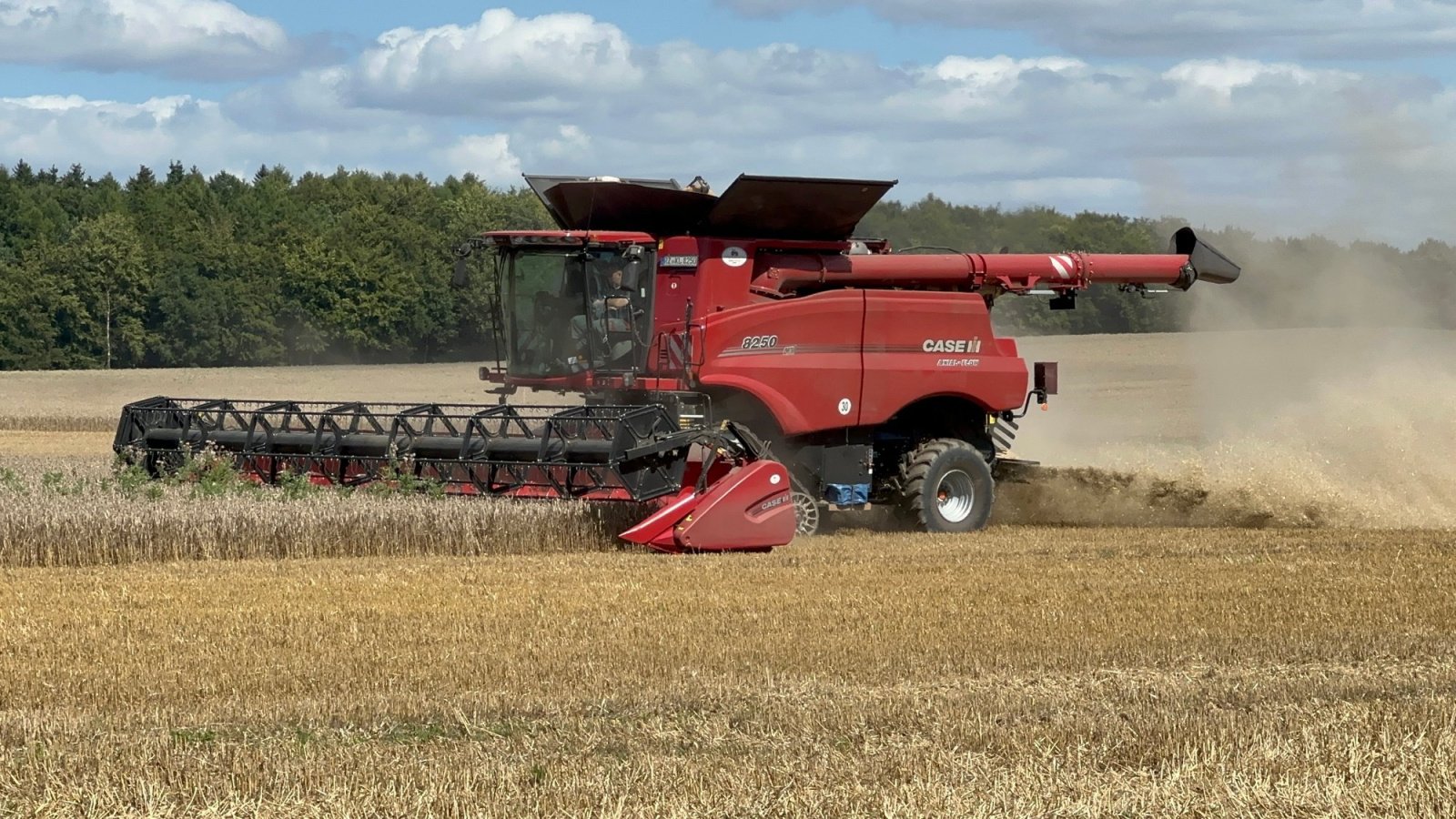 Mähdrescher Türe ait Case IH 8250 AXIAL-FLOW, Gebrauchtmaschine içinde Klempau (resim 2)
