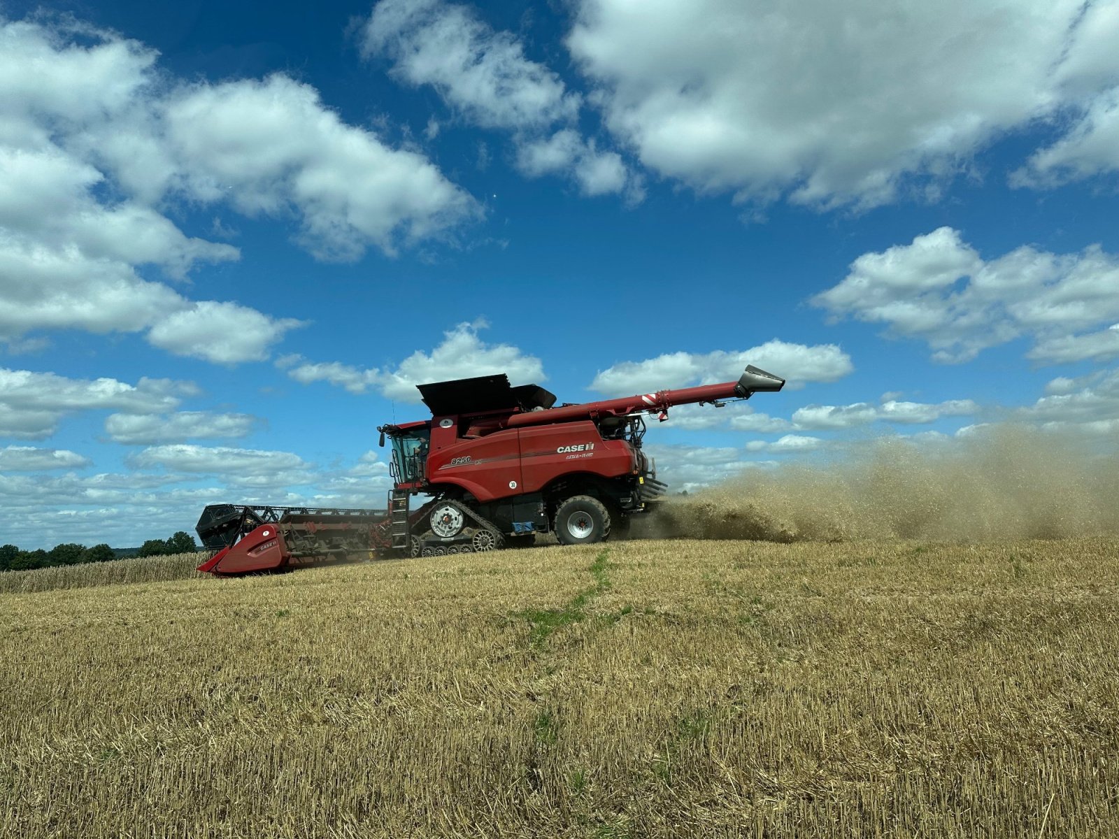Mähdrescher Türe ait Case IH 8250 AXIAL-FLOW, Gebrauchtmaschine içinde Klempau (resim 4)